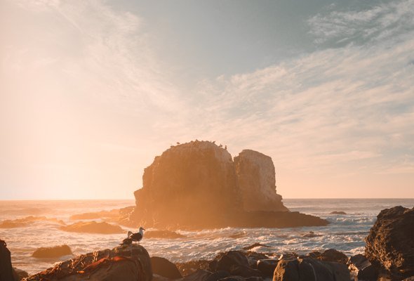 Punta de Lobos