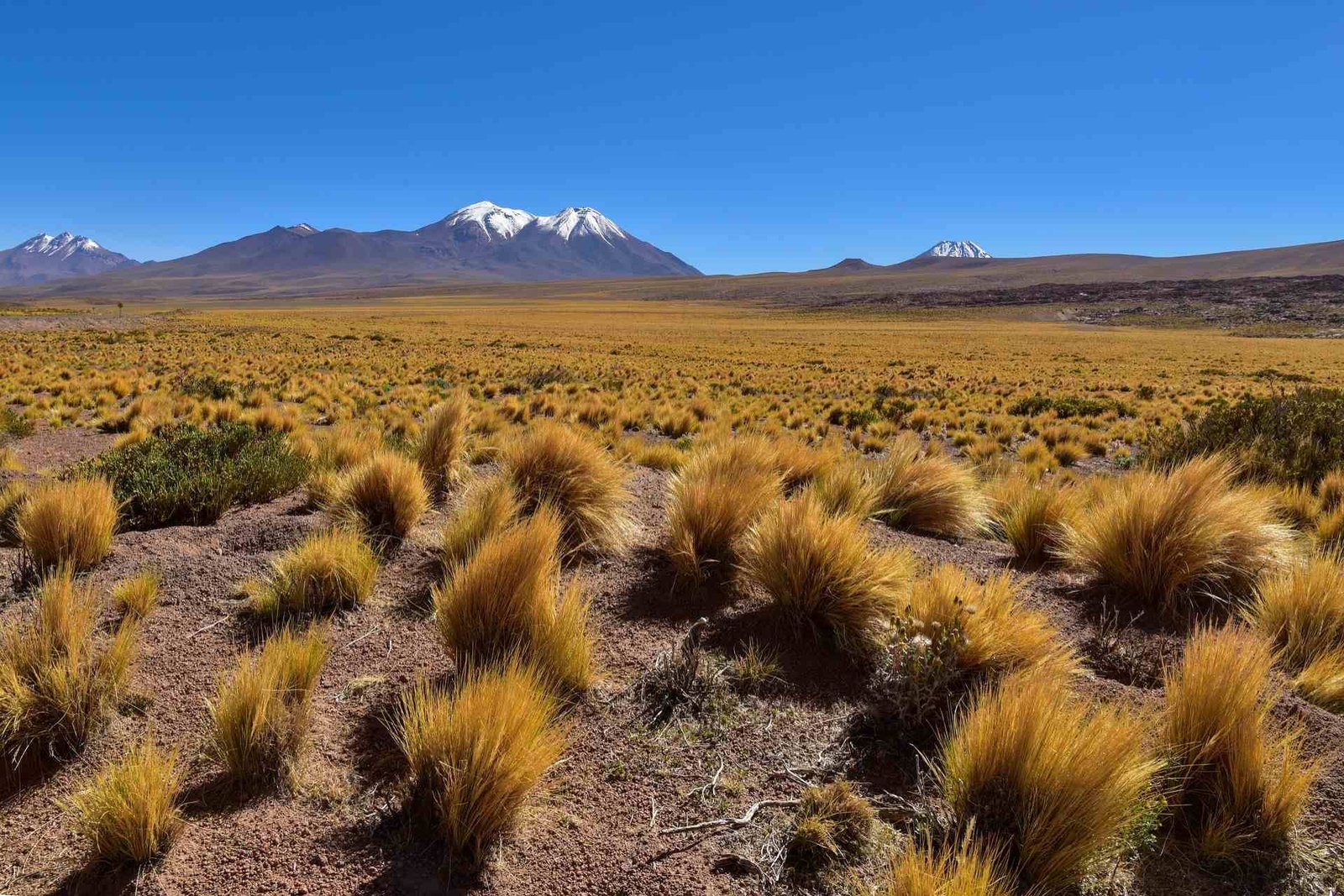 chile landschaft