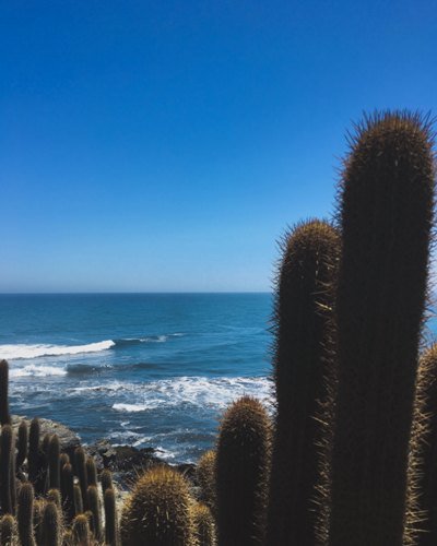 Die besten Strände in Chile: Die schönsten Küstenabschnitte des Landes 12 ohingns - Chile Individual