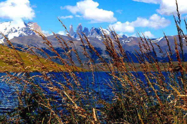 Torres del Paine W Trek: Ein ultimatives Abenteuer in Patagonien 11 Wtrekin chile 16 - Chile Individual