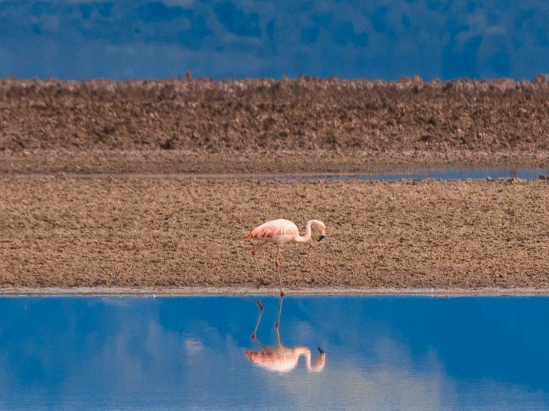 4 Wochen Chile Ferne Welten Rundreise 5 4 Wochen Chile Ferne Welten Rundreise