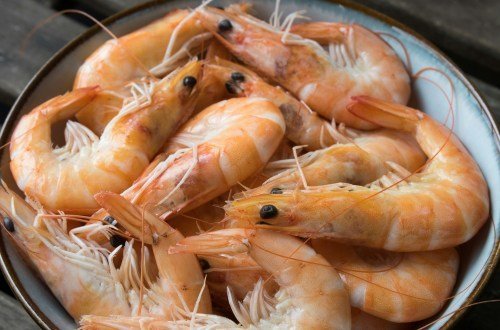 Kultur in Chile: Einblick in Traditionen und Moderne 22 Chile kultur 15 - Chile Individual