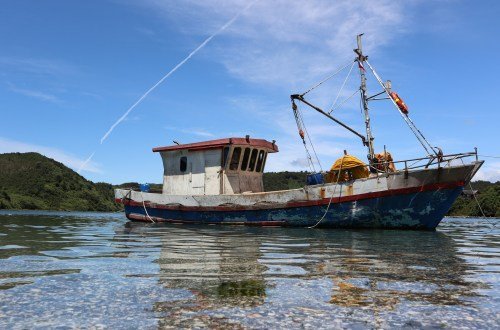 Kultur in Chile: Einblick in Traditionen und Moderne 19 Chile kultur 27 - Chile Individual