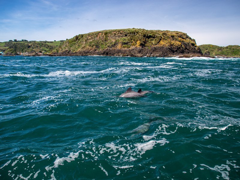 2 Wochen Chile Highlights Rundreise 9 2 Wochen Chile Highlights Rundreise