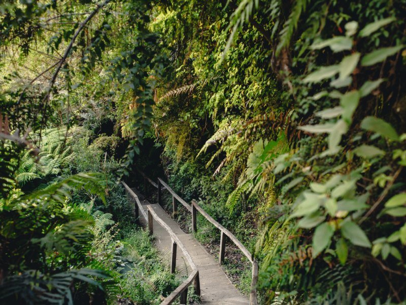 2 Wochen Chile Highlights Rundreise 10 2 Wochen Chile Highlights Rundreise