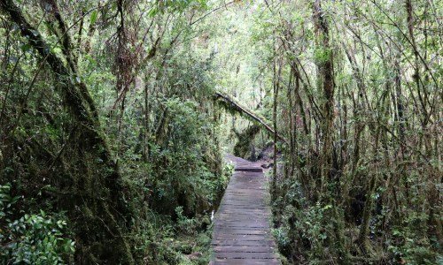 Fernstraße Carretera Austral: Atemberaubende Reise durch Chiles wilde Natur 5 CHAITEN - Chile Individual