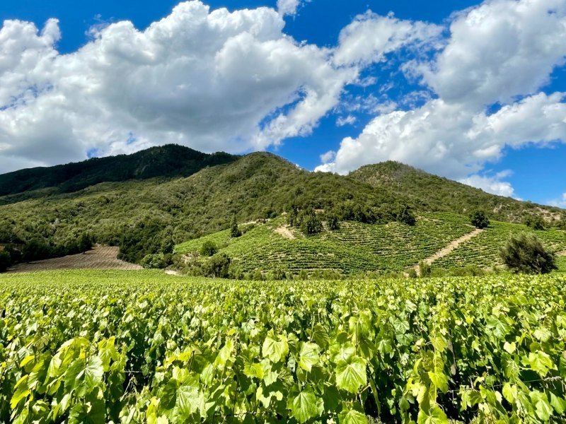 3 Wochen Chile Explorer Mietwagenrundreise 2 3 Wochen Chile Explorer Mietwagenrundreise