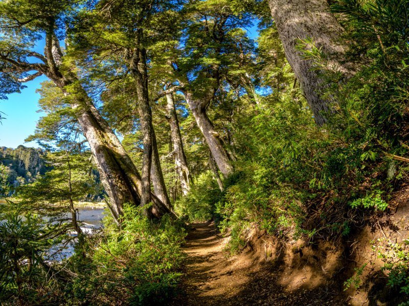 3 Wochen Chile Explorer Mietwagenrundreise 6 3 Wochen Chile Explorer Mietwagenrundreise