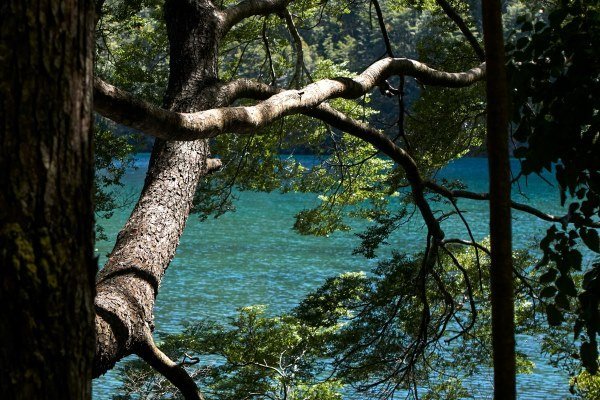 Bergsteigen in Chile - die höchsten Berge des Landes 14 Bergsteigen in Chile die hoechsten Berge des Landes 26 - Chile Individual