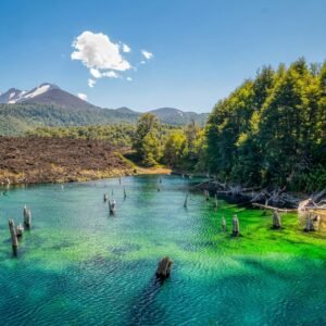Conguillío Lake, Melipeuco, Chile