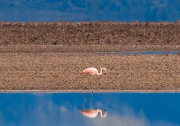 San Pedro de Atacama bei einer 4 Wochen Chile Rundreise