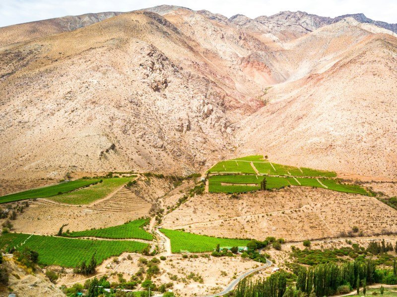 Weinanbaugebiete - Die Weinregionen Chiles kennenlernen 5 Pisco Elqui La Serena Chile - Chile Individual