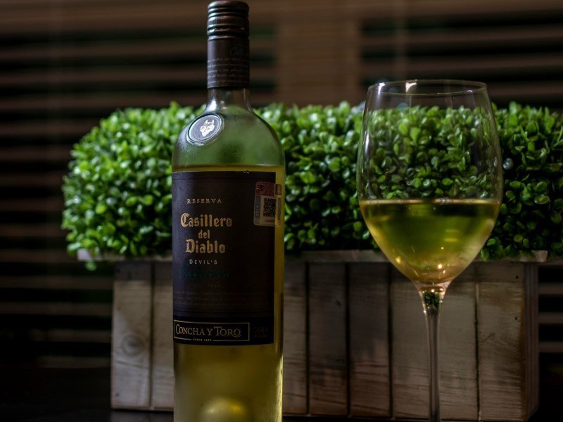 Weinanbaugebiete - Die Weinregionen Chiles kennenlernen 10 Weinanbaugebiete Die Weinregionen Chiles 9 - Chile Individual